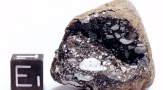 lunar meteorite close-up image